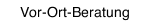 Vor-Ort-Beratung